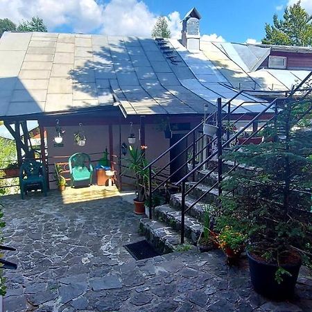 Casa Cristina_ Cabana Buşteni Exterior foto